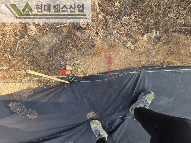 평택휀스 펜스 울타리 - 평택시 칠원동에 위치한 농막에 경계용 메쉬휀스를 시공한 현장을 소개합니다. 평택휀스 펜스 울타리 - 평택시 칠원동에 위치한 농막에 경계용 메쉬휀스를 시공한 현장을 소개합니다.