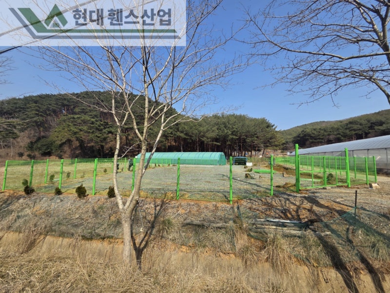 강화도휀스 펜스 울타리 - 강화도에 위치한 개인 소유지 경계에 메쉬휀스를 시공한 현장을 소개합니다.