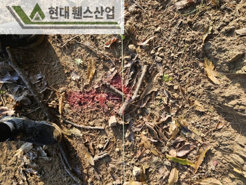 안성휀스 펜스 울타리 - 안성시 아양동에 위치한 나대지에 경계용 메쉬휀스를 시공한 현장을 소개합니다. 안성휀스 펜스 울타리 - 안성시 아양동에 위치한 나대지에 경계용 메쉬휀스를 시공한 현장을 소개합니다.