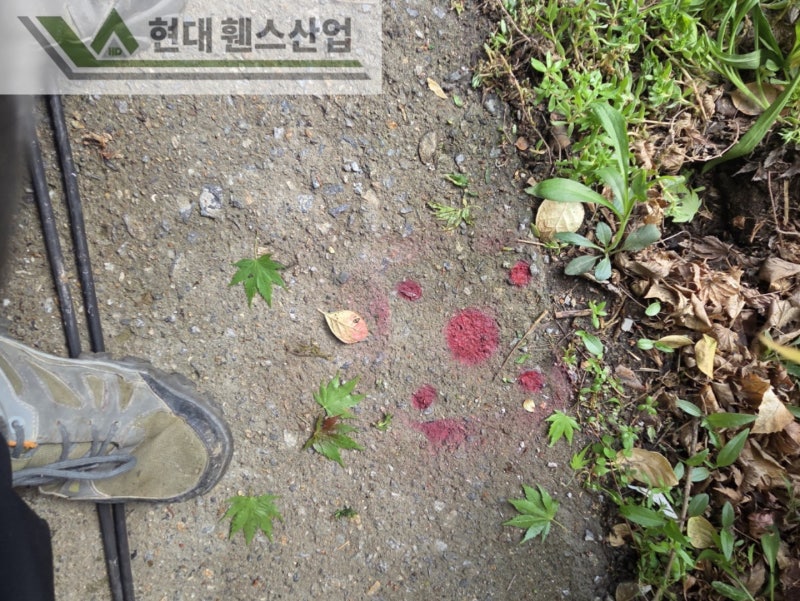 천안휀스 펜스 울타리 - 집 앞 작은 텃밭을 야생동물로부터 보호하기 위한 휀스 천안휀스 펜스 울타리 - 집 앞 작은 텃밭을 야생동물로부터 보호하기 위한 휀스