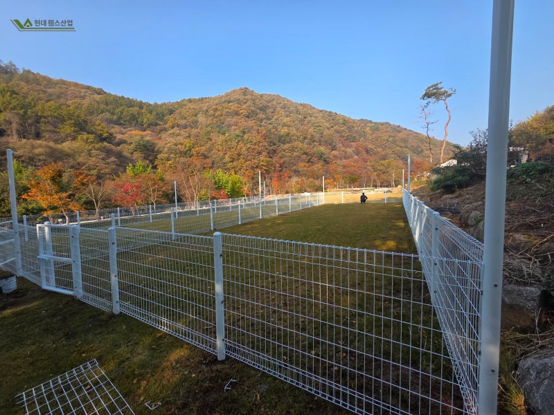 천안휀스 시공 반려견 놀이터용 메쉬휀스 애견펜스 설치 사례